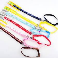 Dây dắt kèm vòng cổ 2 lớp dày dặn cho chó mèo