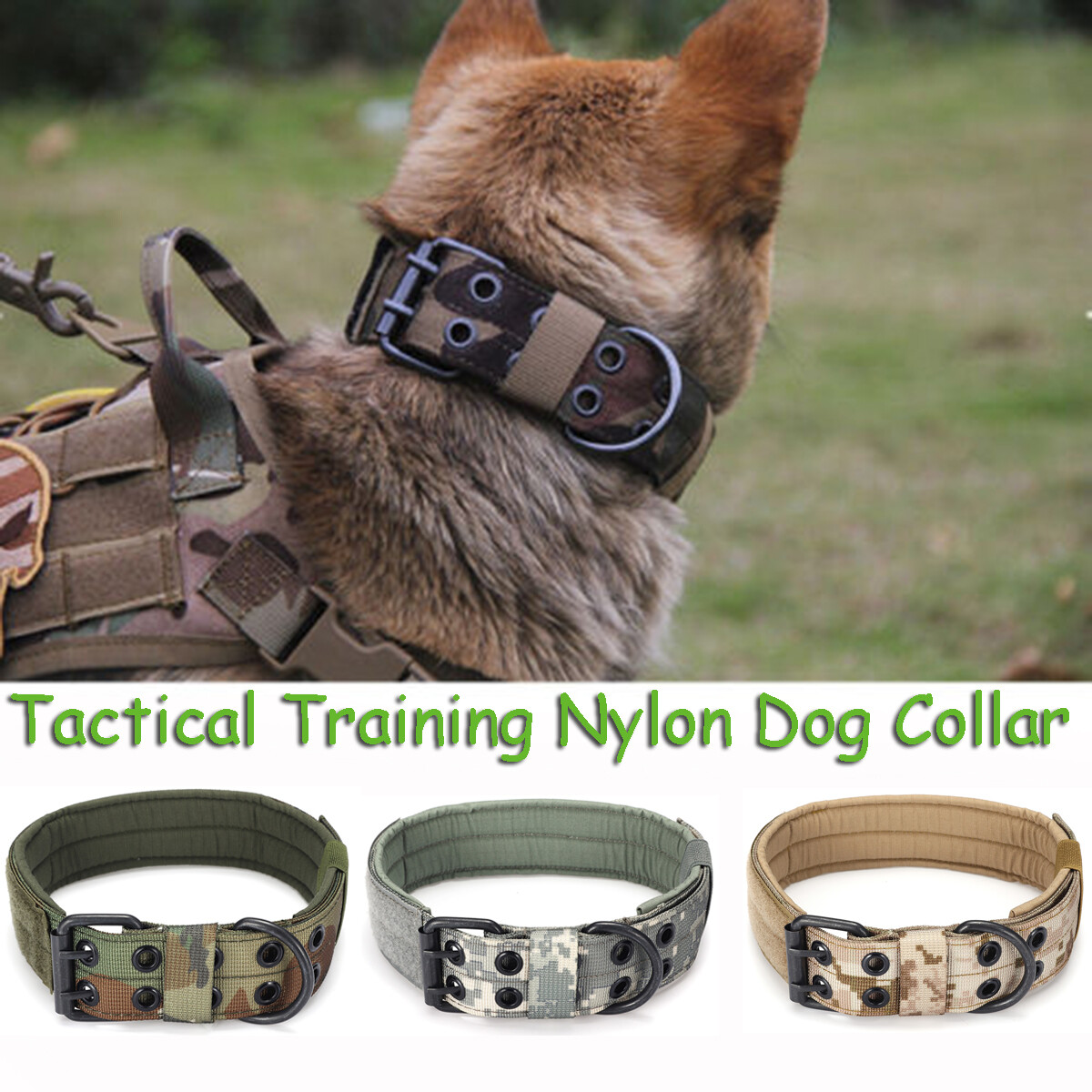 military dog collars and leashes