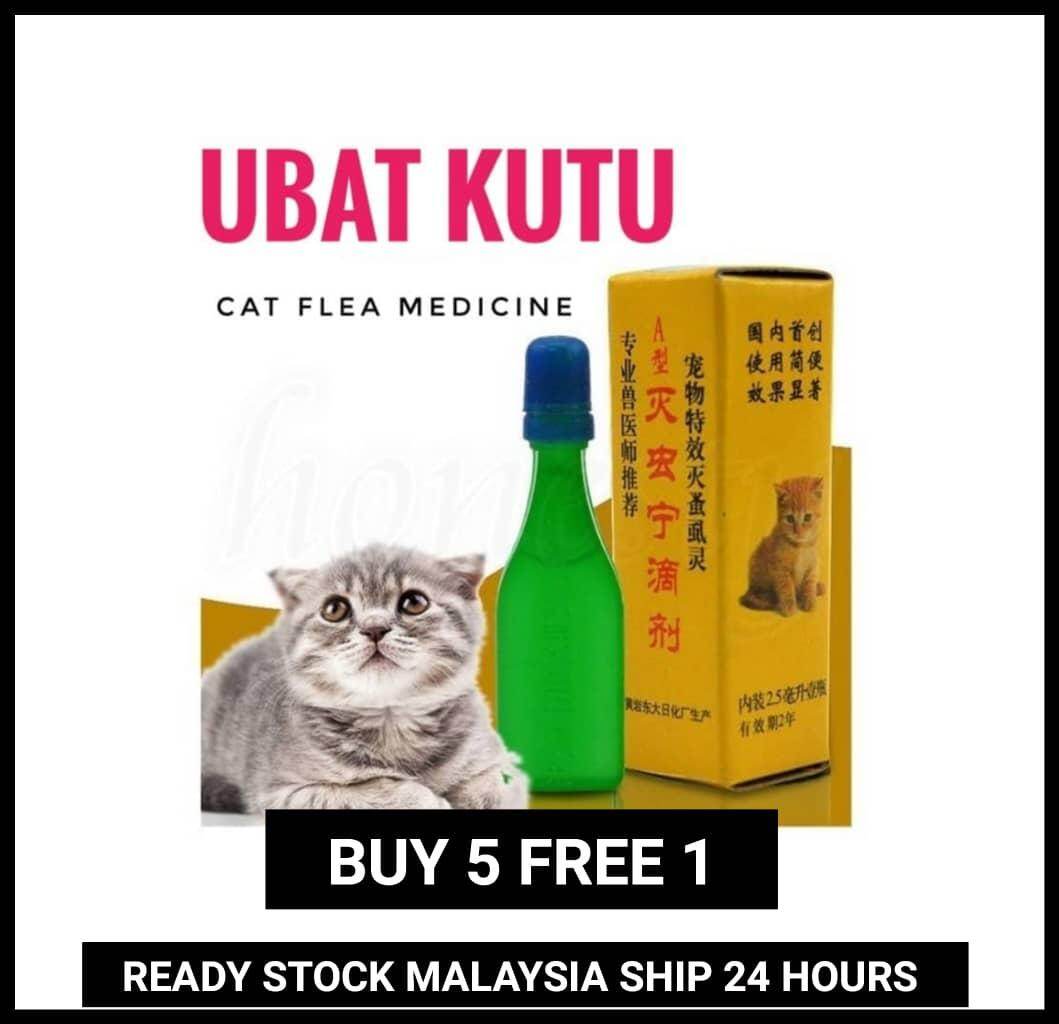 Beli ubat kutu kucing shampoo Pada Harga Terendah  Lazada.com.my