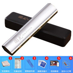 Guoguang Echo 24 Lỗ Harmonica Chơi Chuyên Nghiệp Mức Độ Căng Thẳng Tremolo C Dành Cho Người Lớn Trẻ Em Người Mới Bắt Đầu Nhập