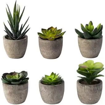 6 Pots Small Artificial Succulent Plants Mini Fake Faux Pot For