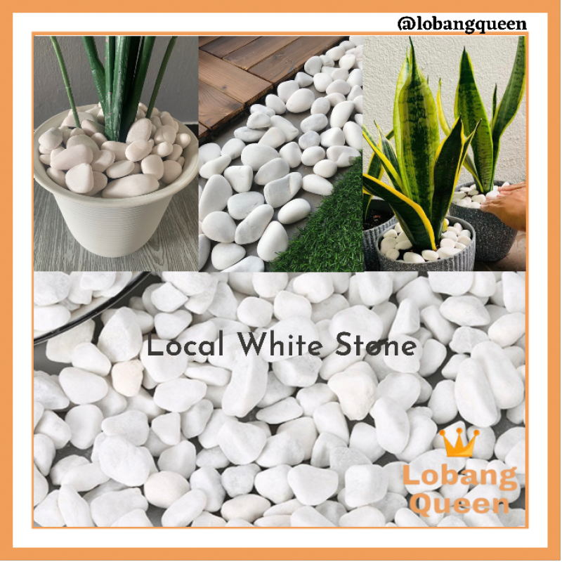 18KG Local White Stone River Pebble Gardening Landscape Decor Massage Stone Batu Hiasan Putih Refleksologi