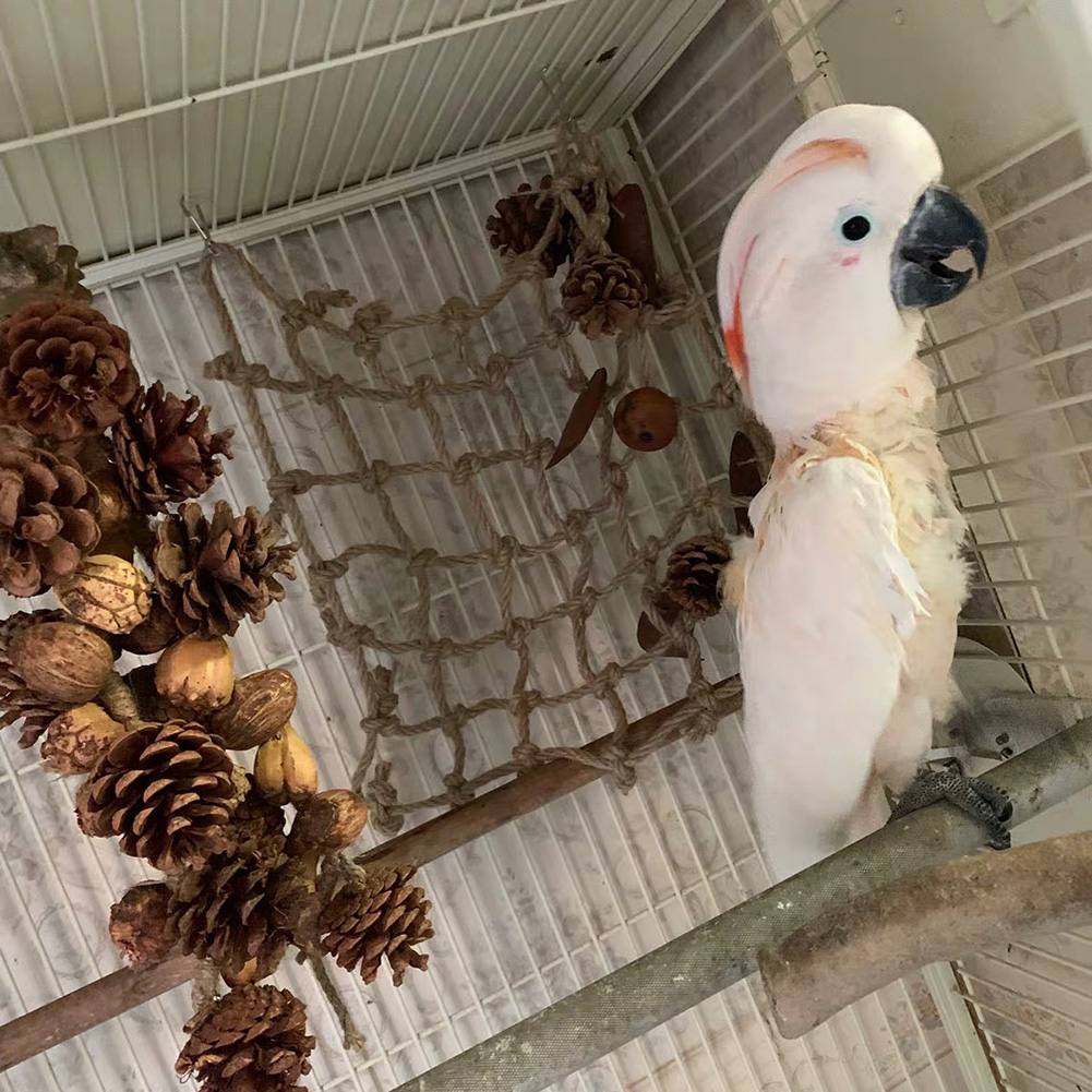 Pet Bird Parrot Nut Pine Cone Mesh Hanging Cage Swing Play Chew Interactive Toy