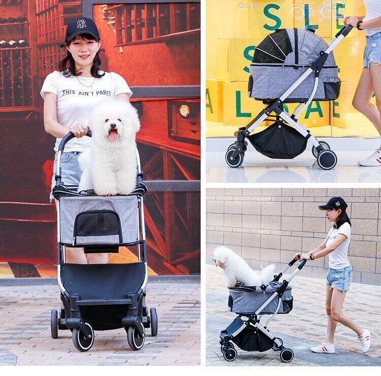 อัลบั้ม 94+ ภาพ รถขนส่งสัตว์เลี้ยง คมชัด