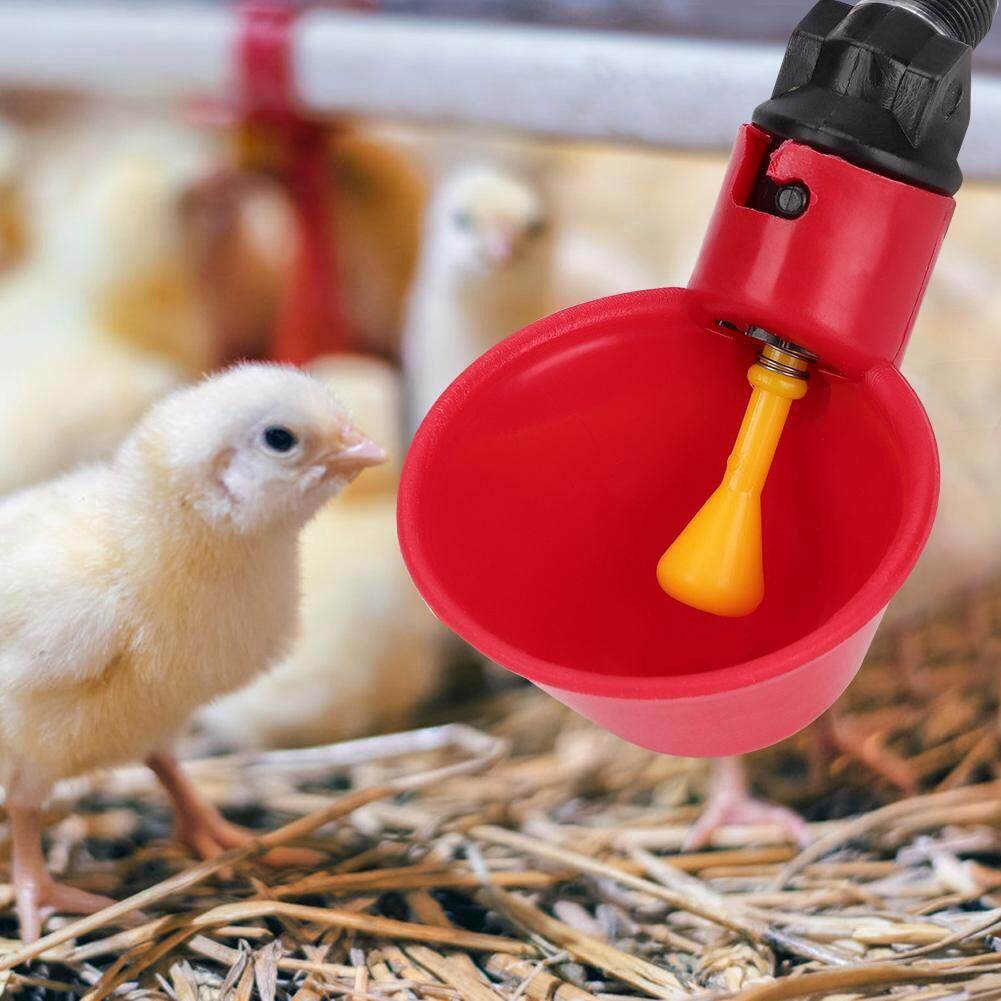 Vòi Uống Nước Cho Gà Br 10 Chiếc Vòi Uống Nước Tự Động Cho Gà Bát Nước Uống Cho Gà Br/Dụng Cụ Uống Nước Cho Lồng