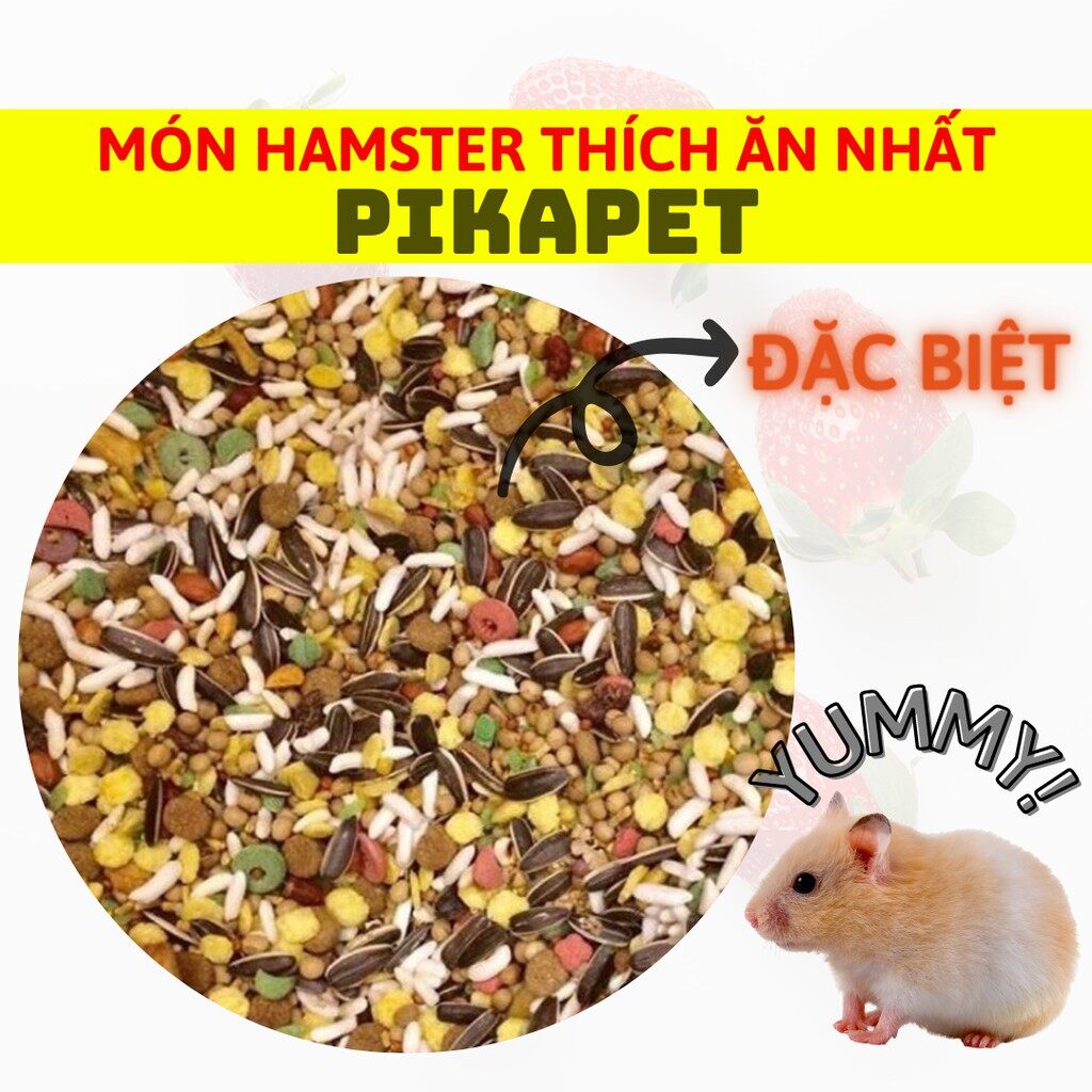 Thức ăn đặc biệt, các loại hạt ngon cho Hamster(Thức ăn trộn 200g)