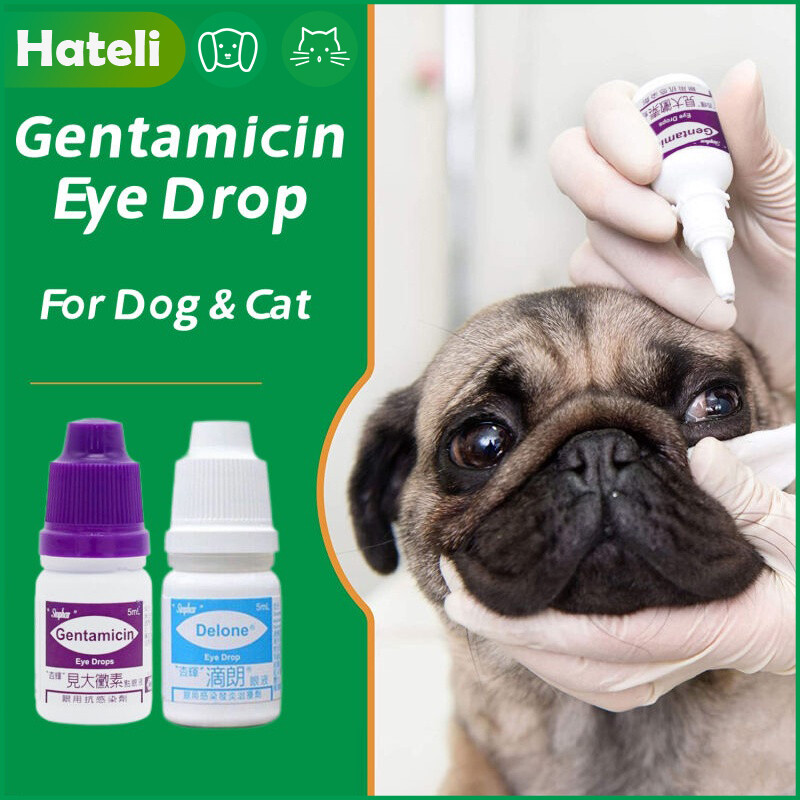 Gentamicin Eye Drops For Pets Cat and Dogs and Eye Infection
