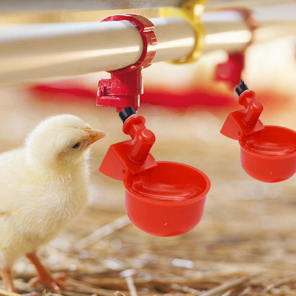 【88HomeStore】10/5 Pcs Chicken Duck Drinking Cup Automatic Drinker Chicken Feeder Plastic Poultry Farm Water Drinking Cups Easy Installation