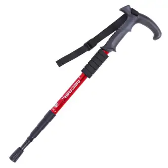 extendable hiking stick