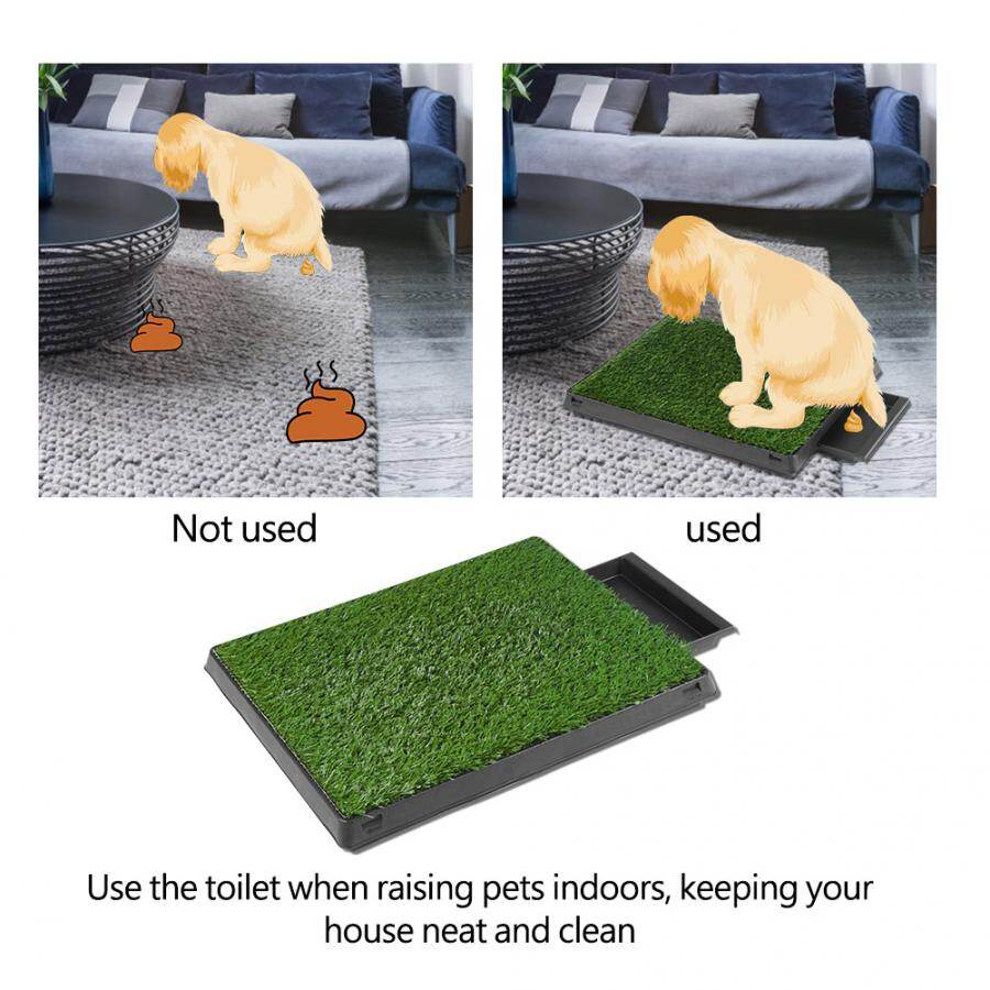 potty mat