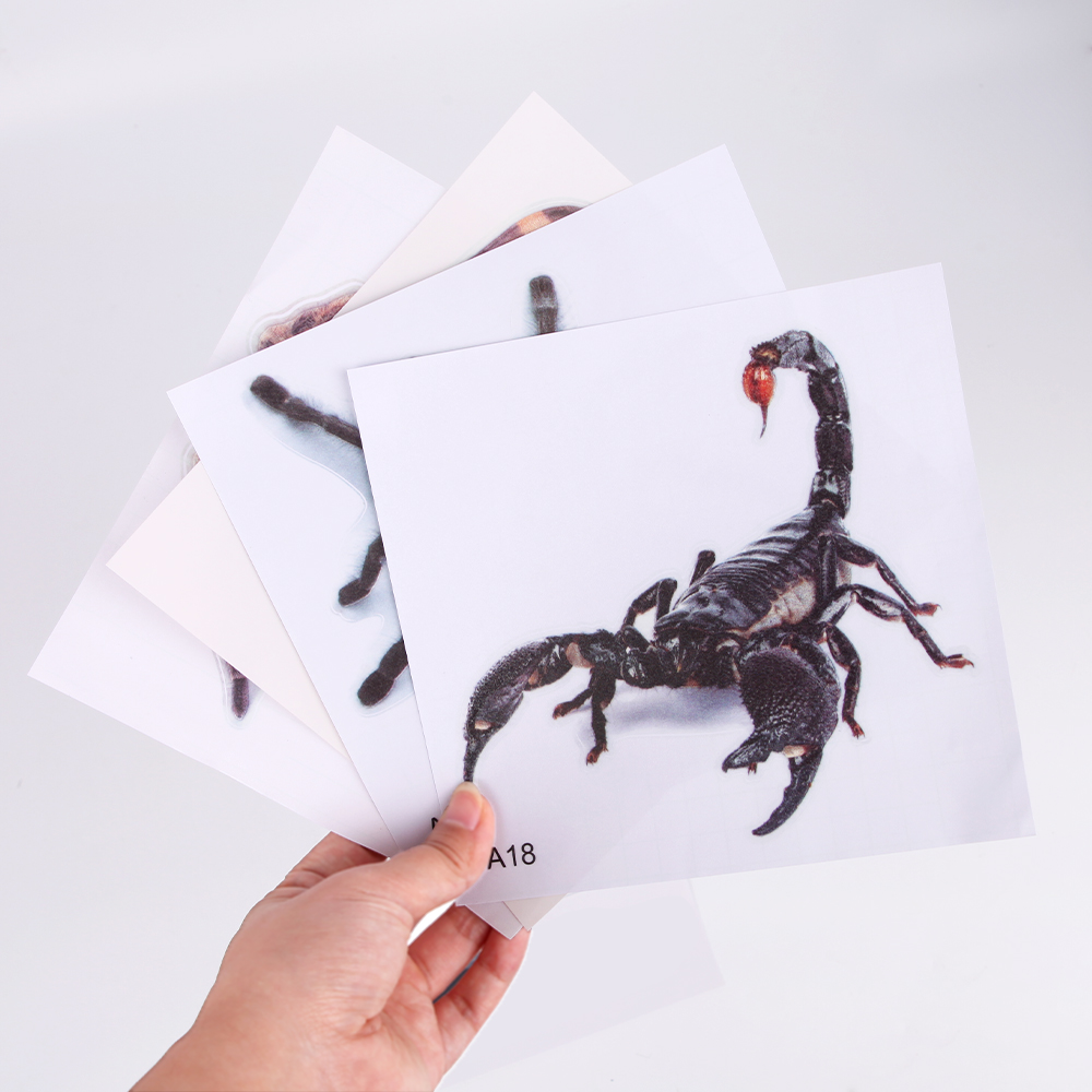 3D Nhện thằn lằn Bọ Cạp nhãn dán xe 3D hoa văn động vật cửa sổ xe viền gương Đề can trang trí chịu nước cao