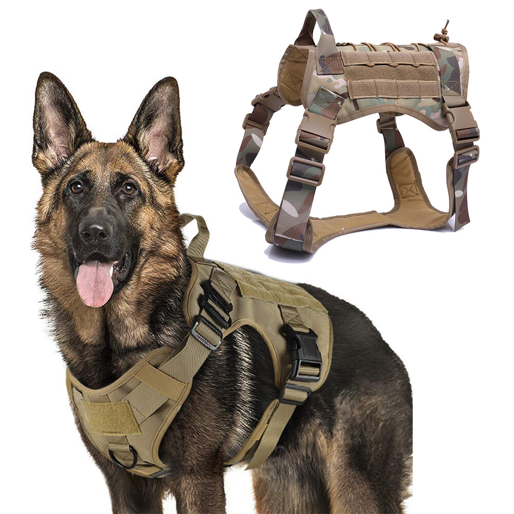 belgian malinois military harness