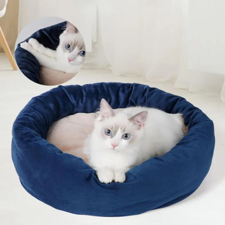 small plush cats