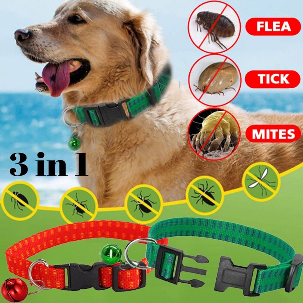 dog tick belt