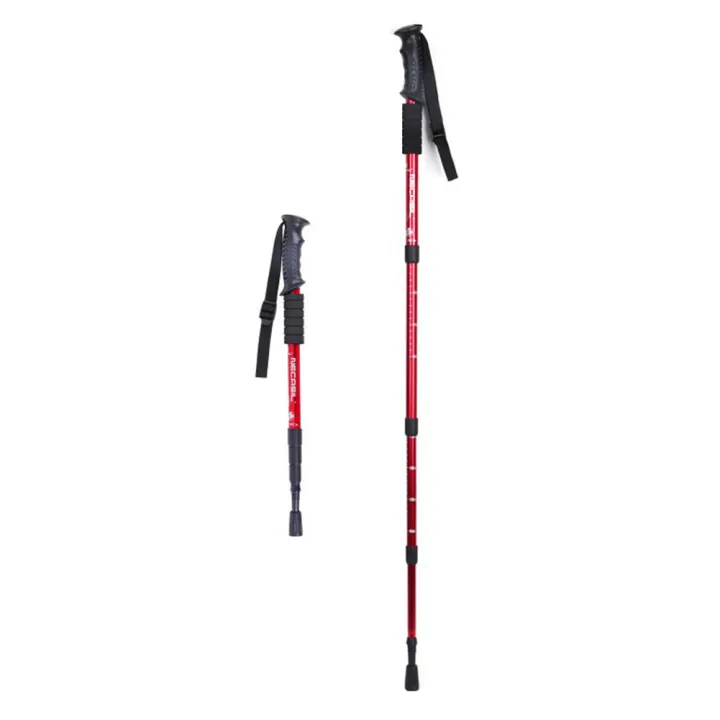necasil walking stick