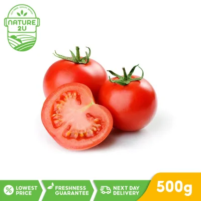 Fresh Vegetable - Tomato (500G+-/PKT)
