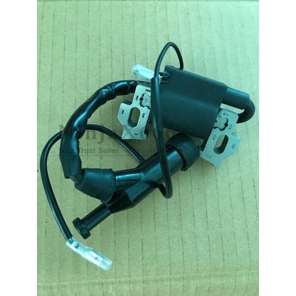 Honda gx160 ignition coil Lazada