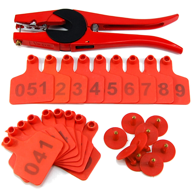 100 Bộ Tai Đỏ Được Đánh Số Thẻ Nhận Dạng Chăn Nuôi Cho Bê Cừu Bò Bò Lợn Bông Tai Chính Xác TPU Với 1 Cái Kìm Ứng Dụng