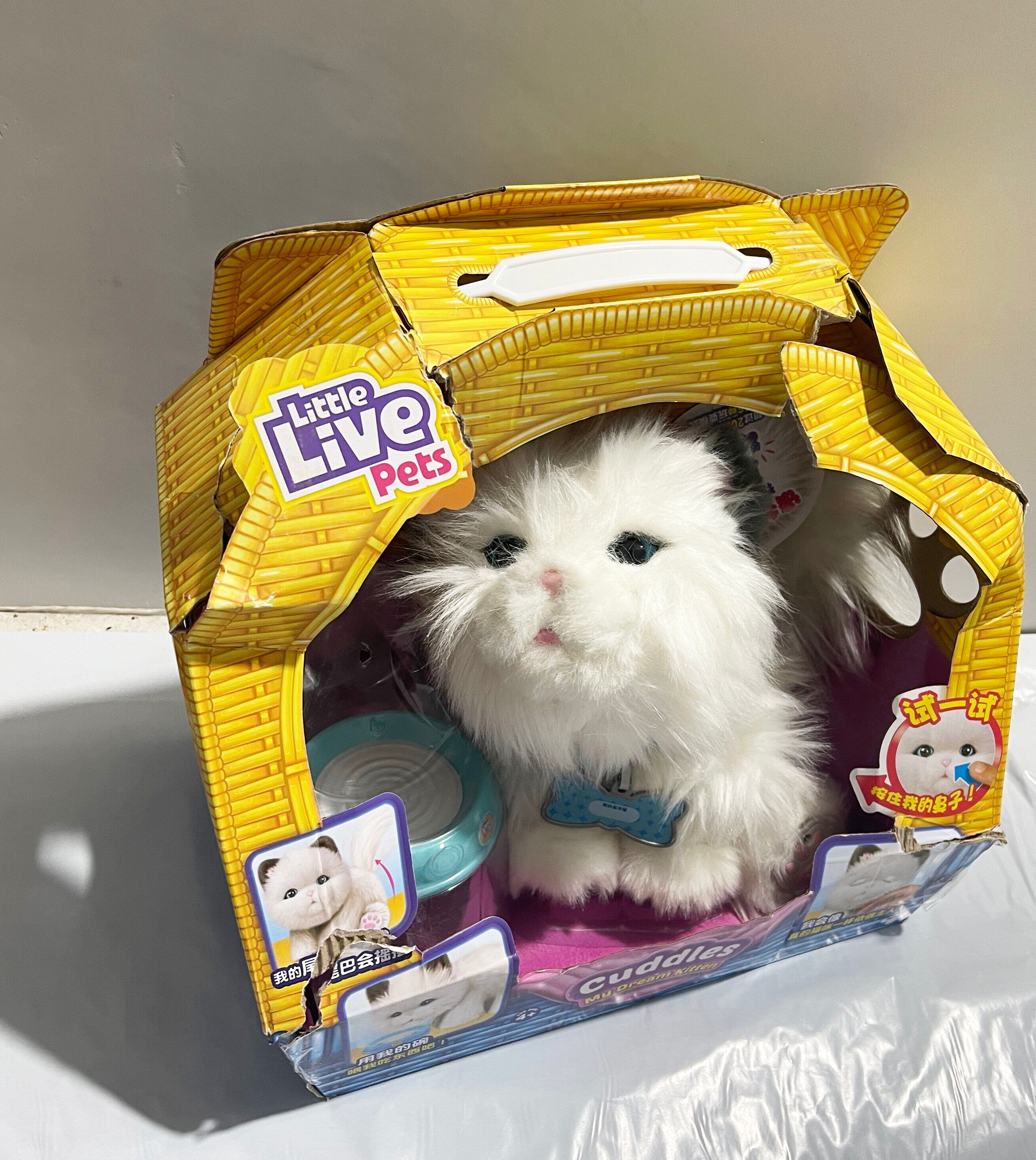 Little live pets cuddles store my dream kitten australia