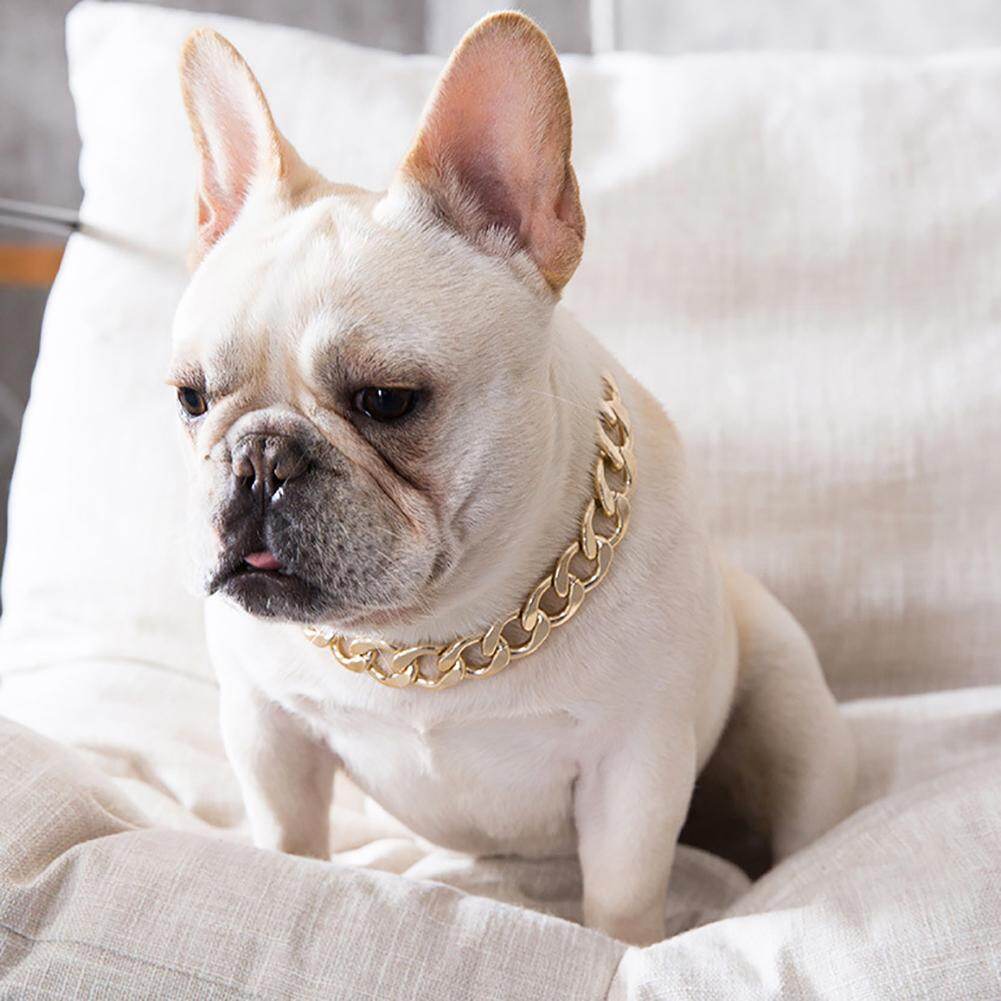 Vòng cổ cho chó Pitbull Bulldog có thể điều chỉnh Huấn luyện viên Aixuexi - INTL