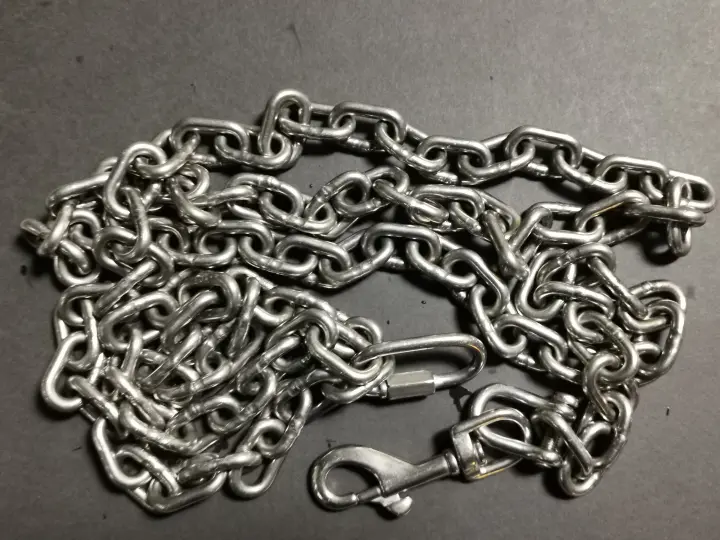 long metal dog leash