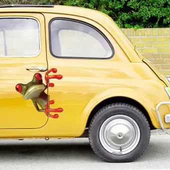 870 Gambar Mobil Lucu Kartun HD