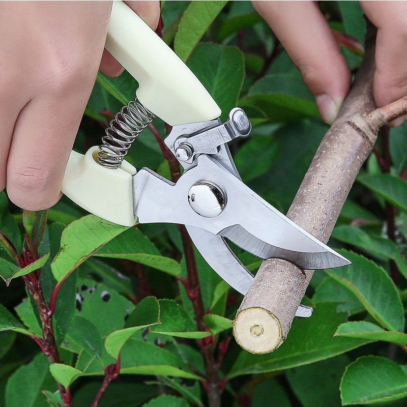 Gardening shears pruning shears elbow garden shears garden tools
