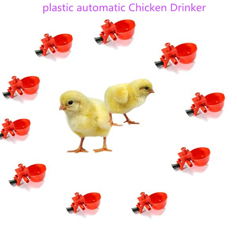 Cốc uống nước cho gà bằng nhựa tự động, 25 chiếc, thiết bị tưới nước áp suất thấp cho gia cầm Gà Mỹ