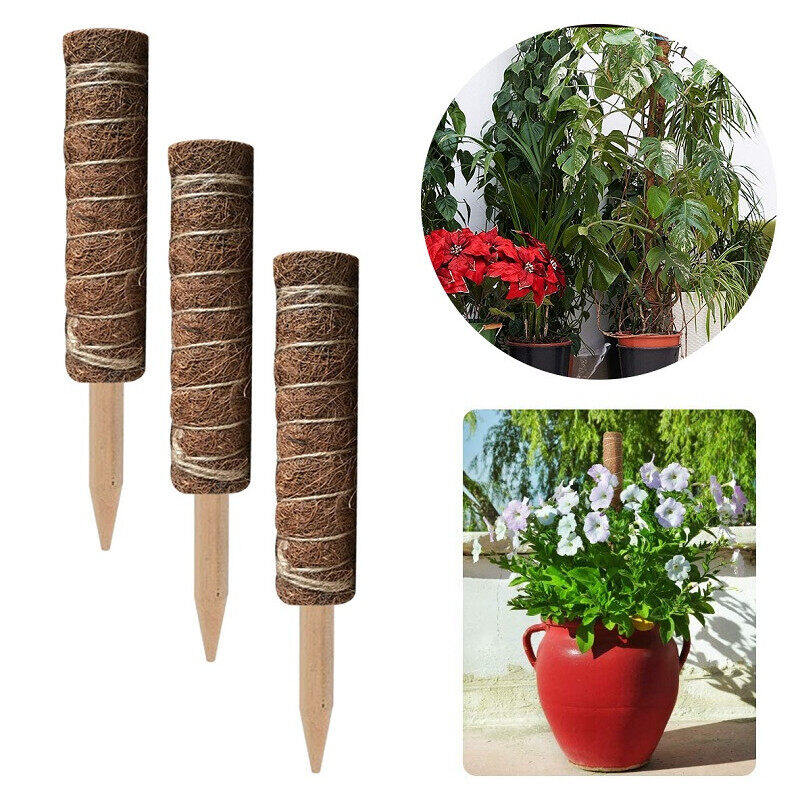 Dream Hunter Plant Support Rod Wooden Moss Stick for Plant Extension Climbing Plant Support Pole Indoor Plants Creepers Coir Totem Pole