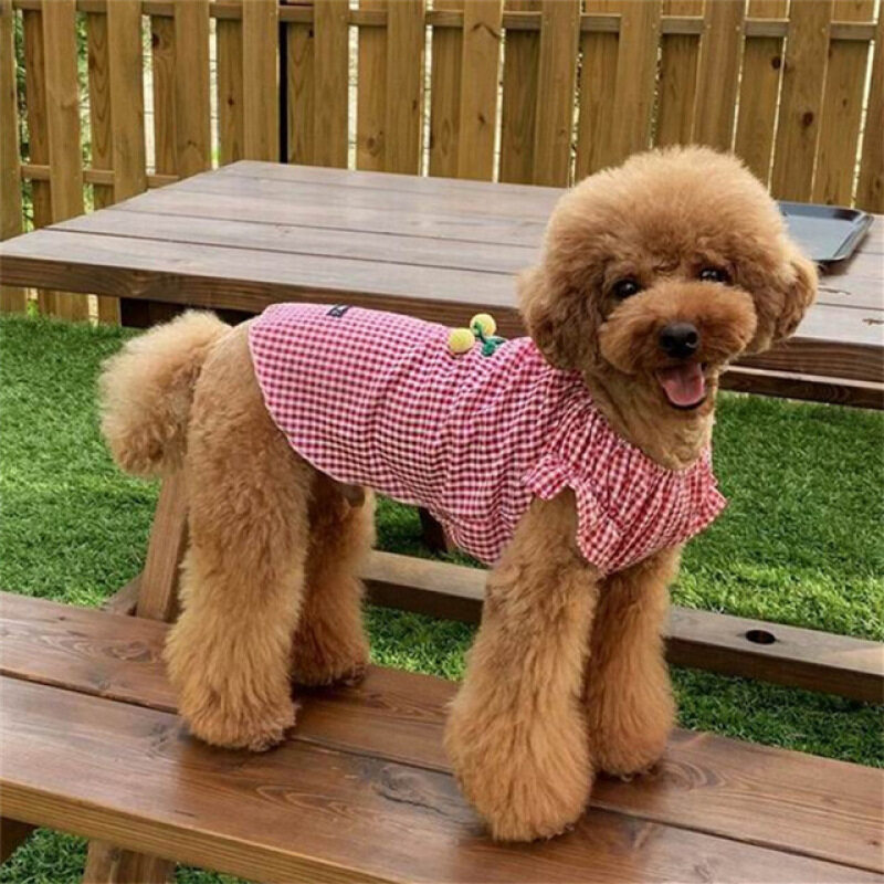 Chó Puppy T-Shirt Mùa Hè Quần Áo Cho Chó Áo Phông Yorkshire Pomeranian Poodle Bichon Maltese Schnauzer Áo Cho Thú Cưng Quần Áo Chó