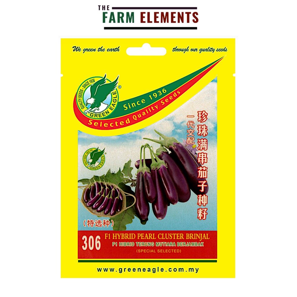 ge-306-f1-hybrid-pearl-cluster-brinjal-seed-f1-hibrid-terung-mutiara