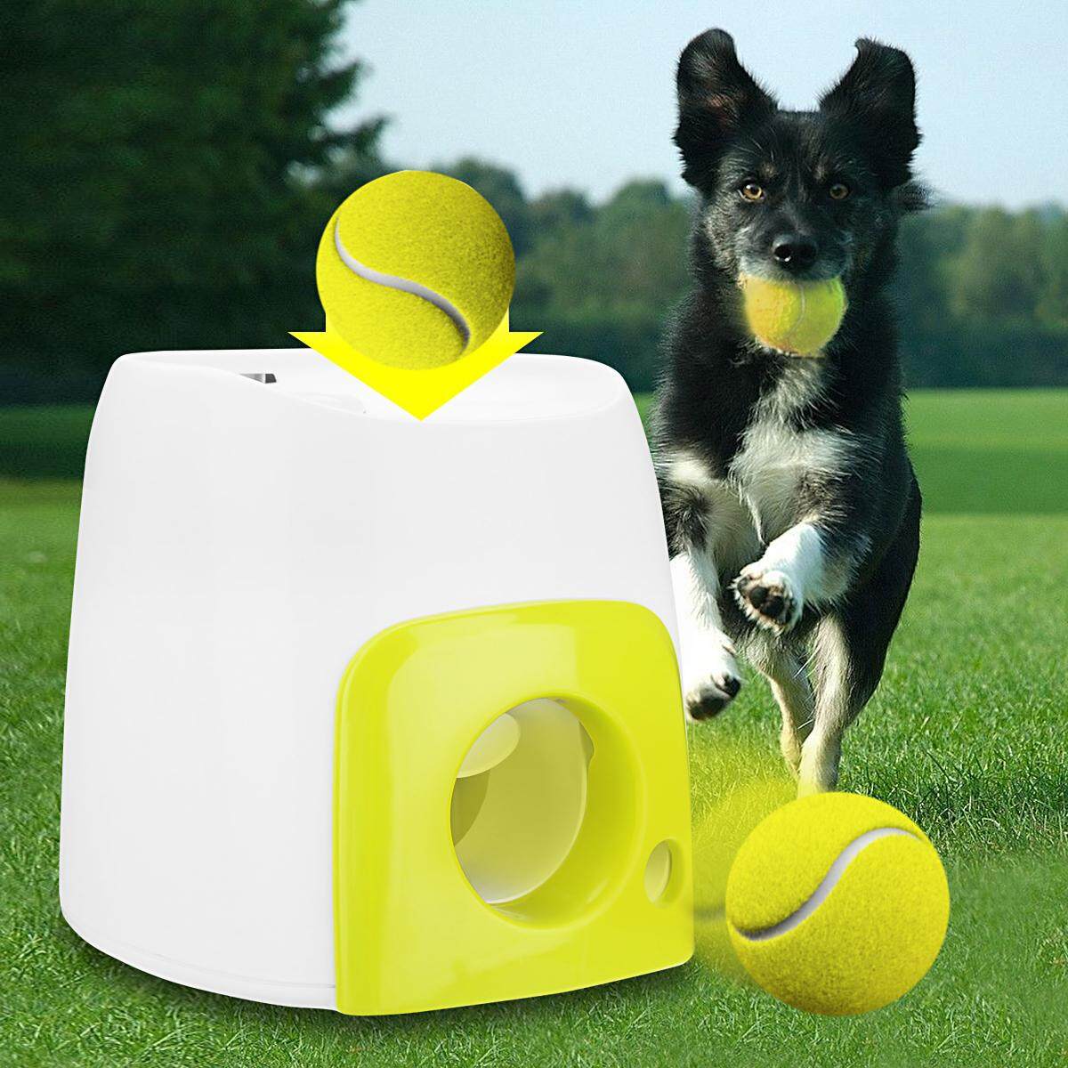 Free Shipping Flash Deal Fly Ball Dog Training Fetch Tennis Fly Ball Dog Training Fetch Tennis