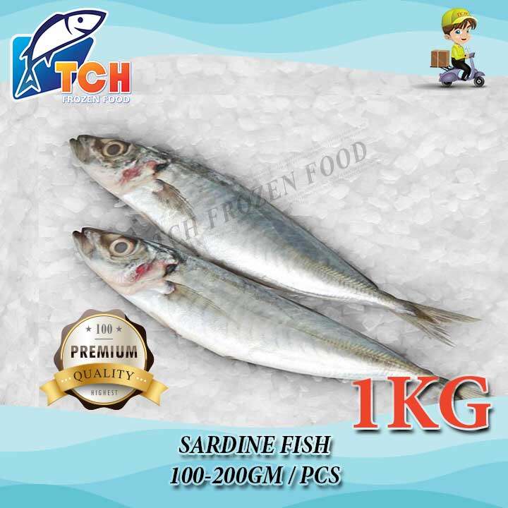 IKAN SARDIN, SARDINE, TCH FROZEN FOOD, FRESH FROZEN SEAFOOD, WHOLESALE