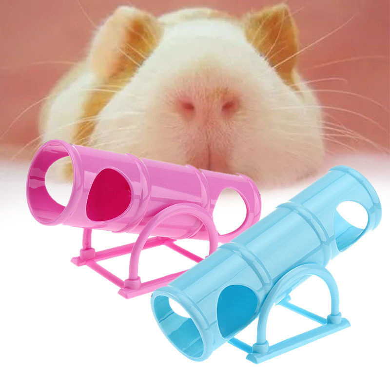 Lý Tưởng Hamster Đồ Chơi Tập Luyện Seesaw Thể Thao Lồng Nhựa Nhà Hầm Ống Phụ Kiện Cho Thú Cưng