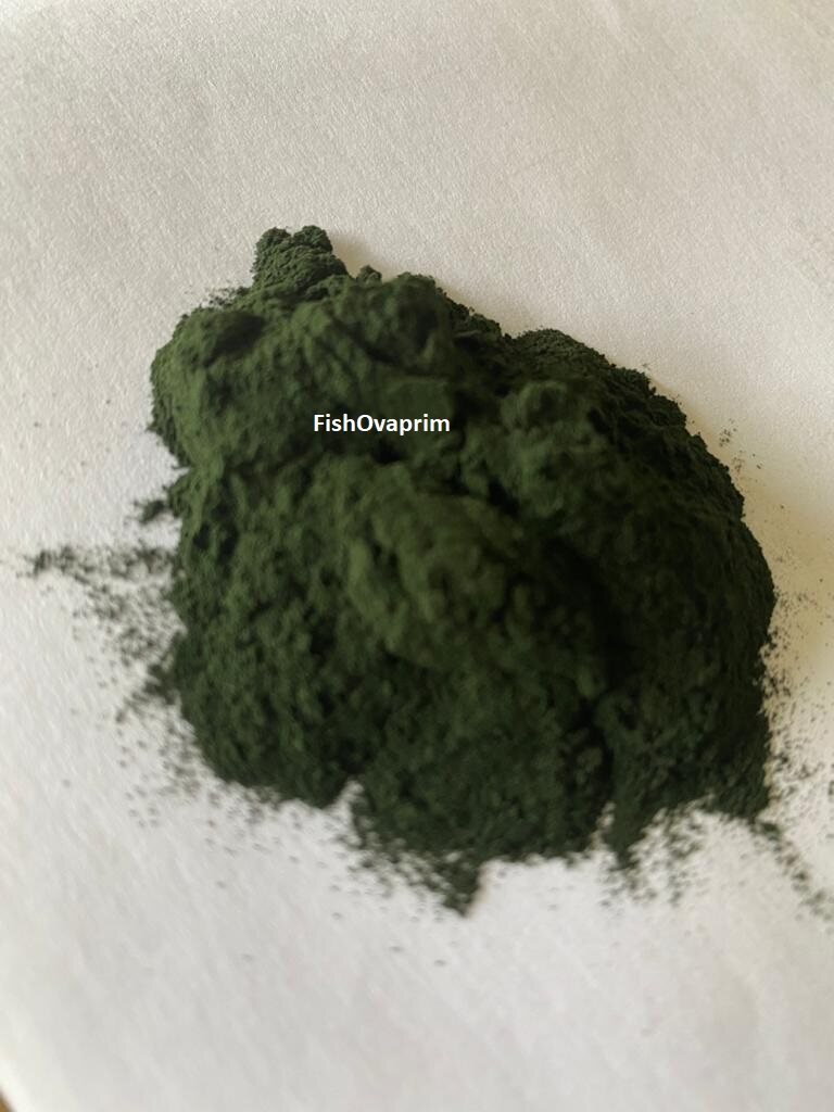 Premium Spirulina Power for Fish, Brine Shrimp, Shrimp, Betta, Guppy