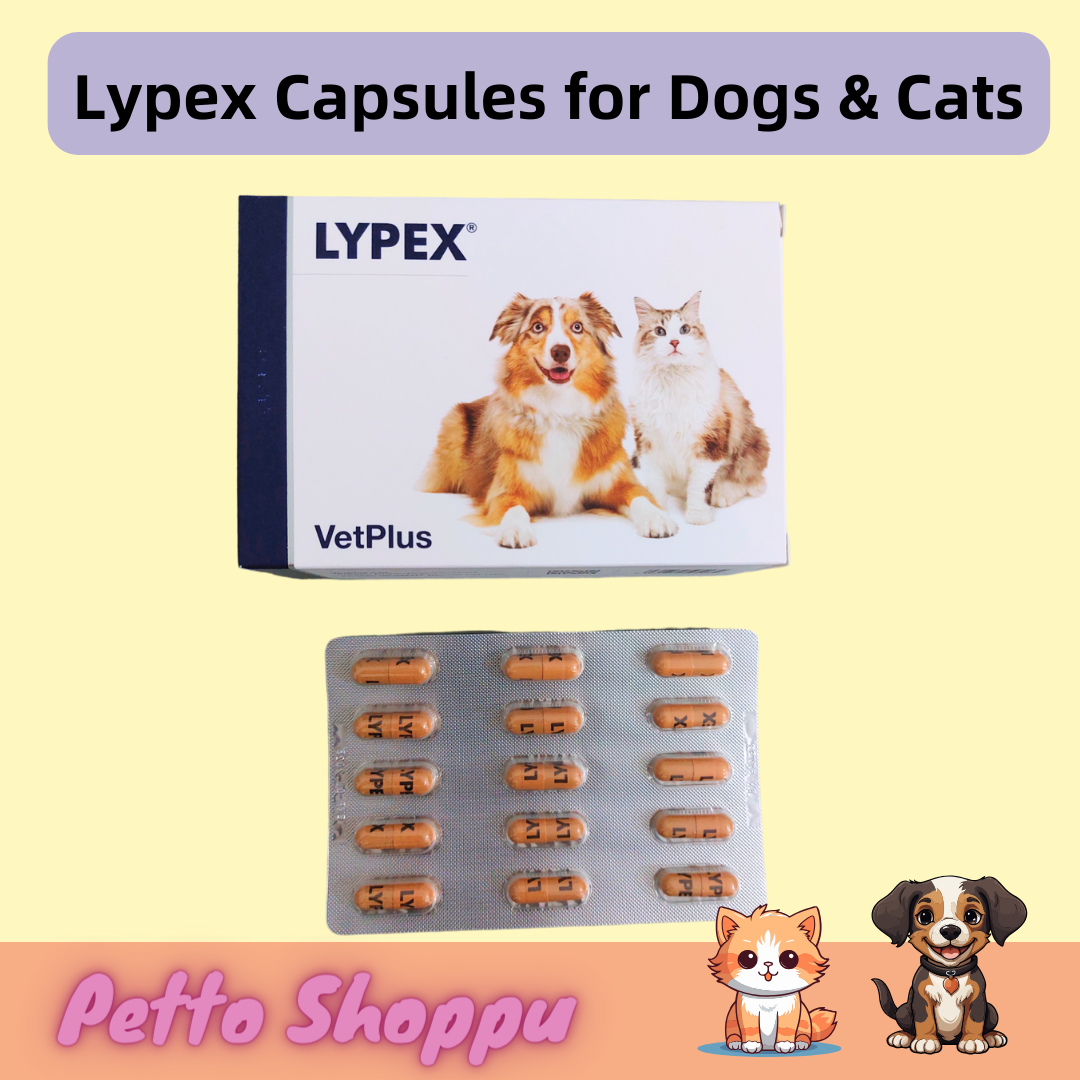 Lypex for Cats and Dogs 60 capsules Lazada