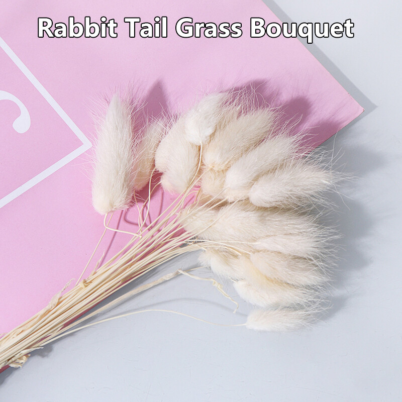 BOKALI A Bundle  Natural Rabbit Bunny Tail Grass Bouquets Wedding Dried Flowers Decor