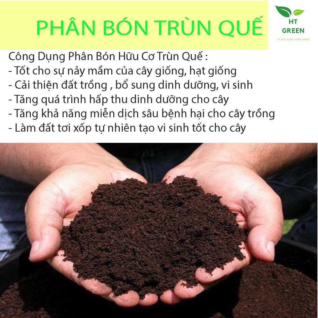 1Kg Phân bón trùn quế hữu cơ nguyên chất
