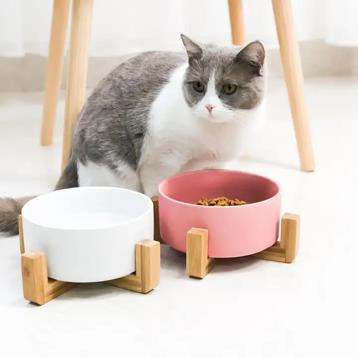 pretty cat bowls