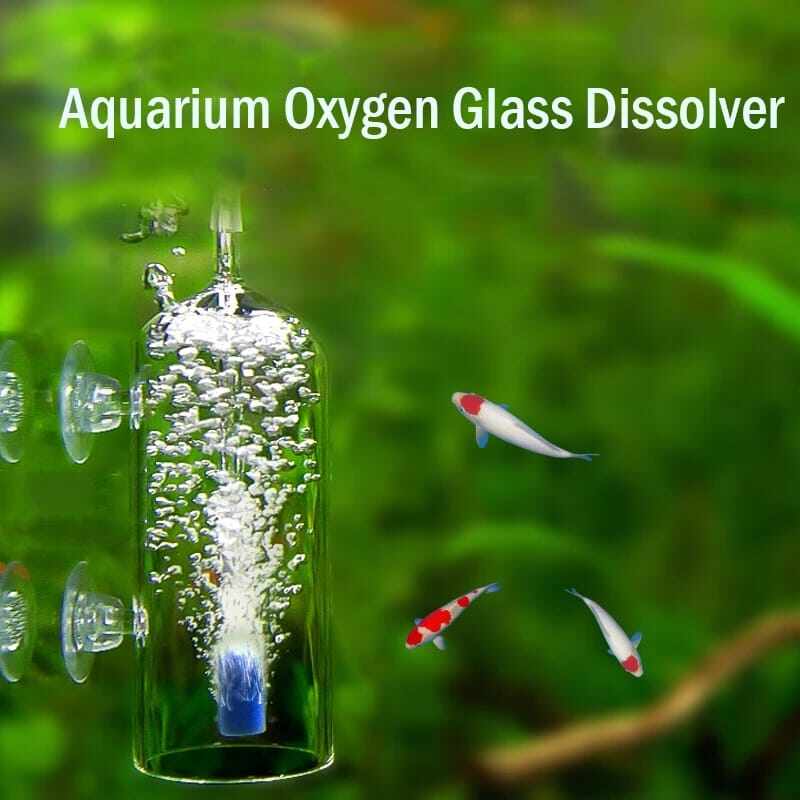 Aquarium Oxygen Glass Dissolver Dissolve Aeration CO2 Diffuser Dispenser Fish Tank Prevent Splash Bubble Air Stone Lazada