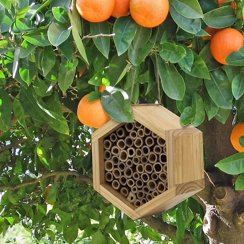 Handmade Natural Bamboo Bee Hive Bee House Attract... – Grandado - View #5