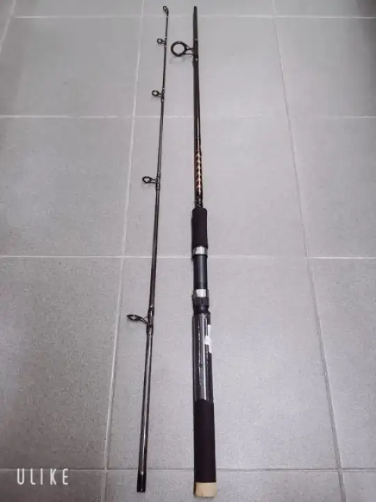 fishing rod sale online