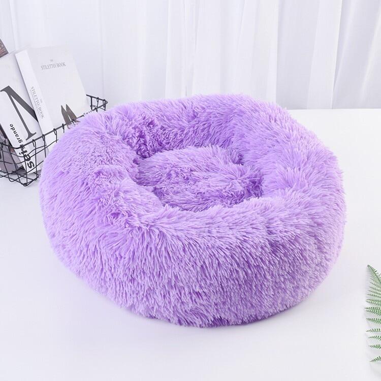purple dog bed