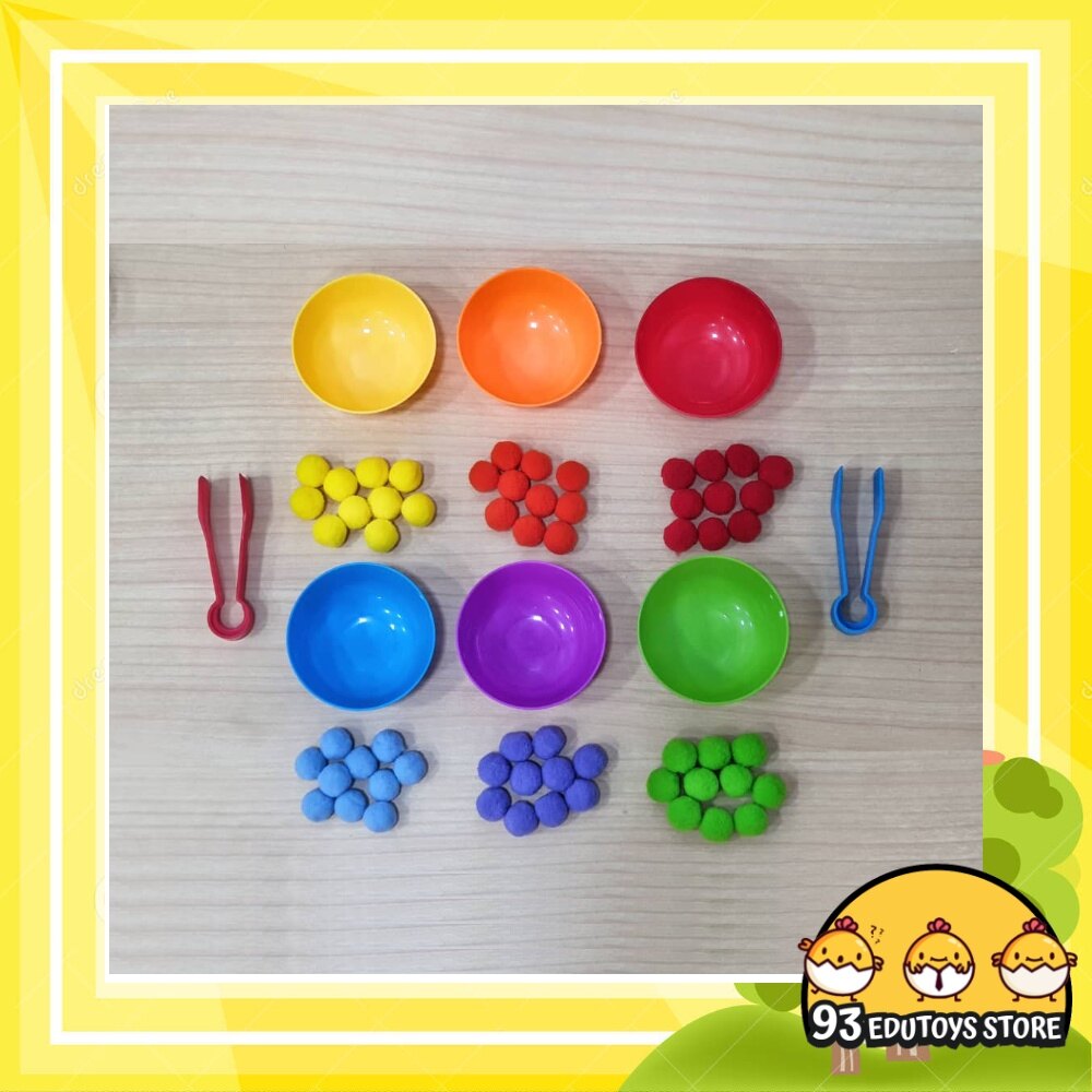 Colourful Counting Sorting Matching Cup Montessori Early Learning Child ...