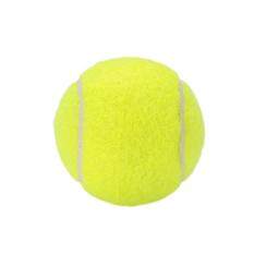 (Free Shipping)SCIOLTO SPORTS Tennis Ball Durable Elasticity Round Training Learning Sports Exercise Adults(One Piece) – intl