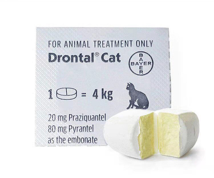 Bayer Drontal cộng với 1 viên thuốc tẩy giun ngon cho mèo