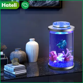 aquarium mini lazada