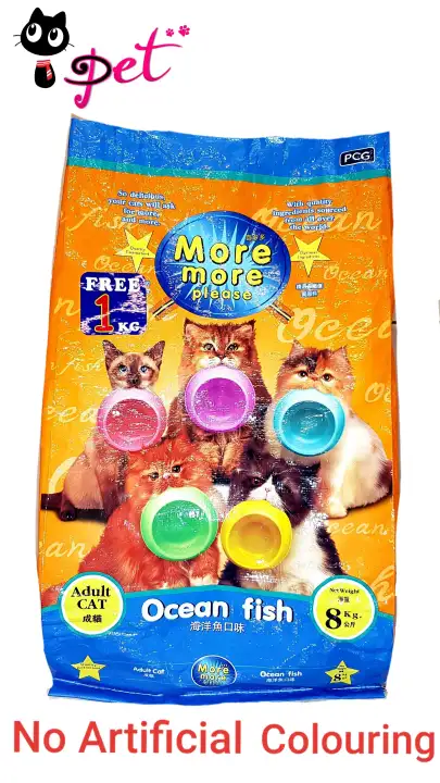 more more cat food