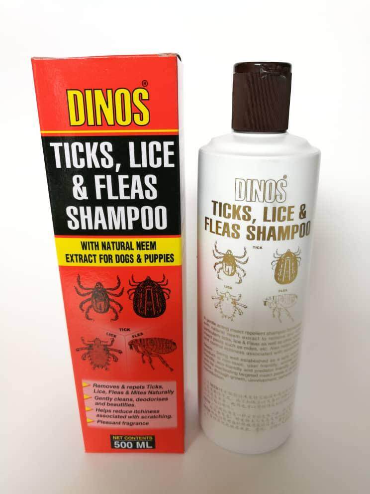 Flea shampoo outlet for lice