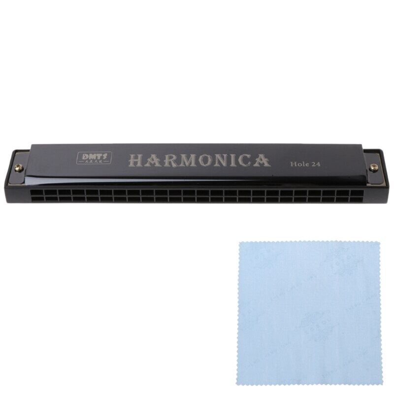 OOTDTY Professional 24 Hole Harmonica Key Of C Mouth Metal Organ For Beginners Mouth Harmonica